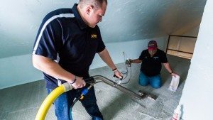 Big Rapids Carpet Cleaning & Upholstery Cleaning