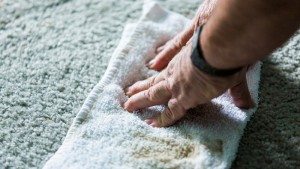 Mt. Pleasant Carpet Cleaning & Upholstery Cleaning